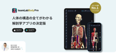 teamLabBody Proとは？料金や口コミ/評判を解説！3D解剖学アプリの決定版